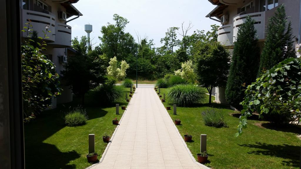 Vila Dincic Doo Veliko Gradište Exterior foto