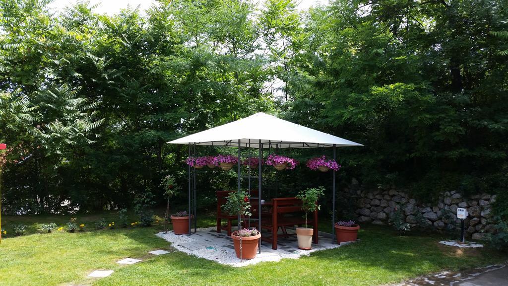 Vila Dincic Doo Veliko Gradište Exterior foto