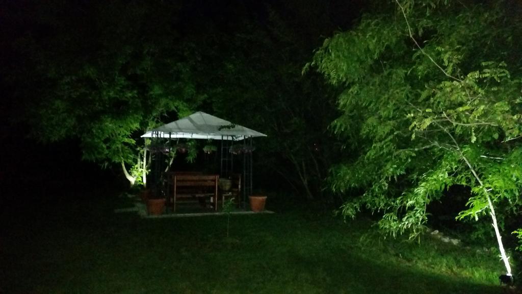 Vila Dincic Doo Veliko Gradište Exterior foto